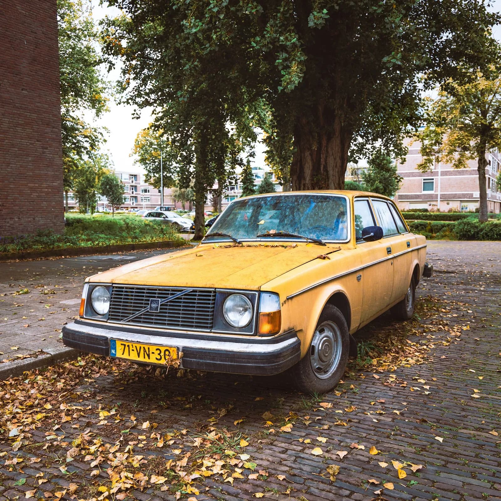 Word ClassicSwedes-partner